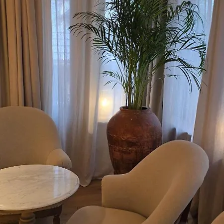 Vena Premium زاكوباني
